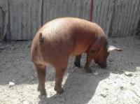 831RANCHER3_8108.jpg